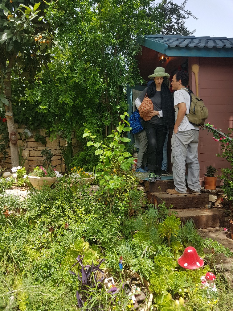 מה זה קיץ ומה בינו לבין פגים ,צרעות ,החאיית מתים וחישוב מסלול מחדש ?  