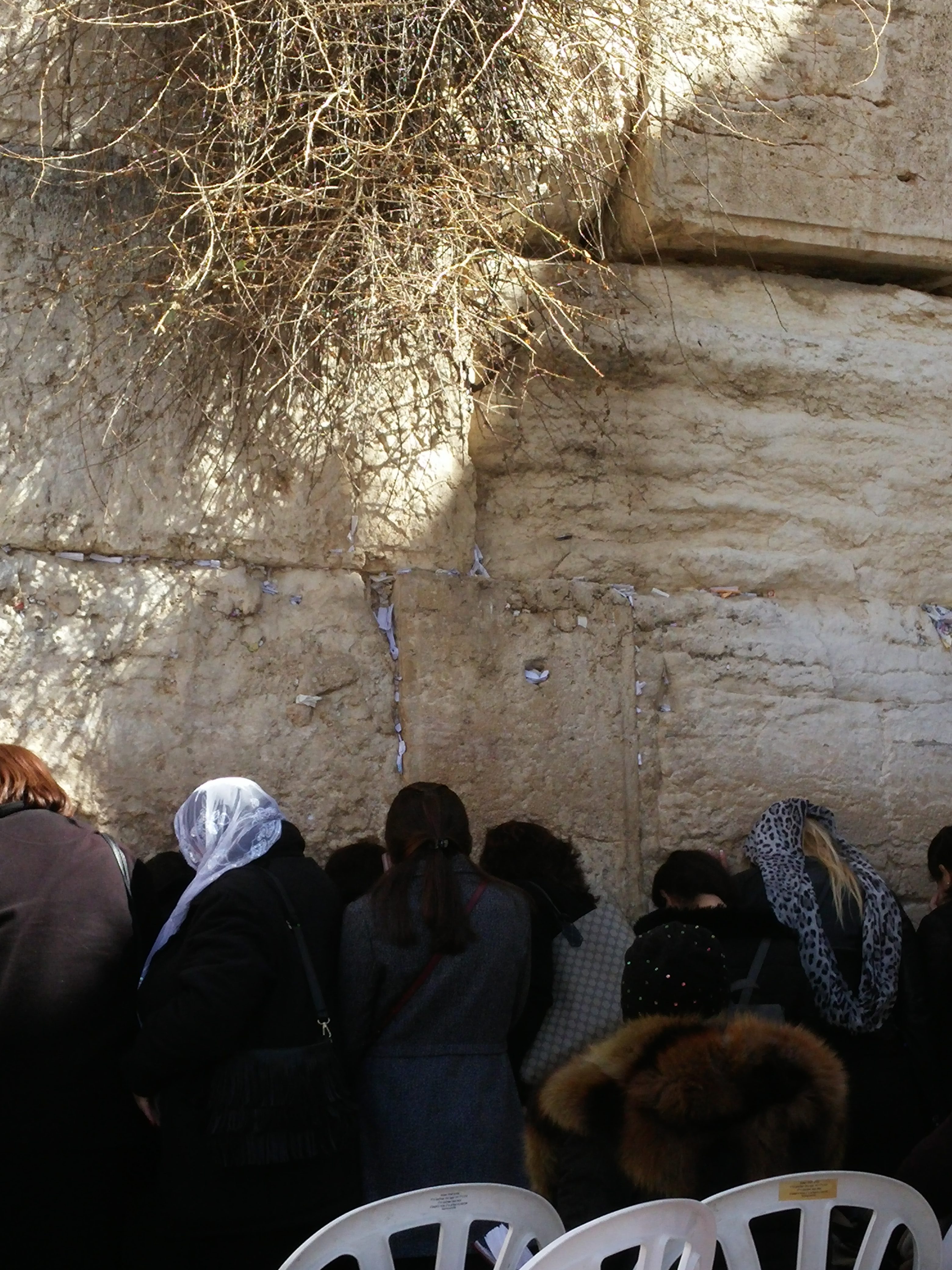 ערב ט באב, מה הקשר בין מדוזות וביצה טבולה באפר ולמה לא אומרים שלום הלילה?